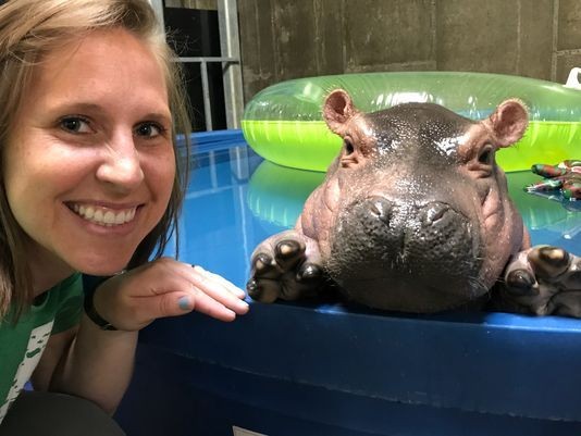 河馬費歐娜。（圖／翻攝自Cincinnati Zoo）