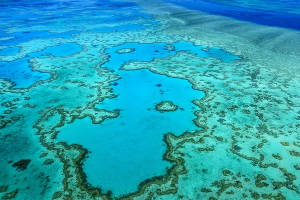 澳洲昆士蘭大堡礁。（圖／五福旅遊）