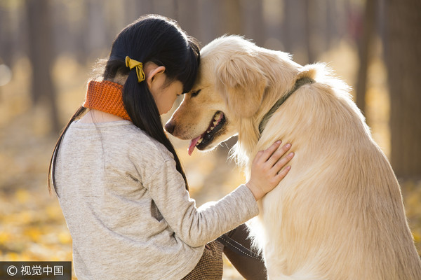 女孩,狗,黃金獵犬,毛小孩,愛動物（圖／視覺中國CFP）