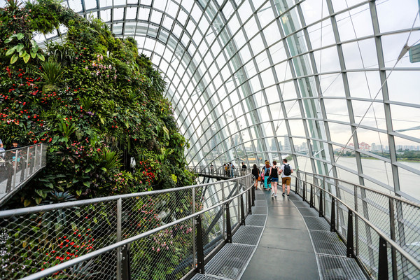 新加坡旅遊-濱海灣花園溫室：雲霧林（圖／記者林世文攝）