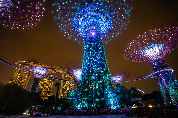 新加坡旅遊-濱海灣花園溫室：擎天樹、燈光秀夜景（圖／記者林世文攝）