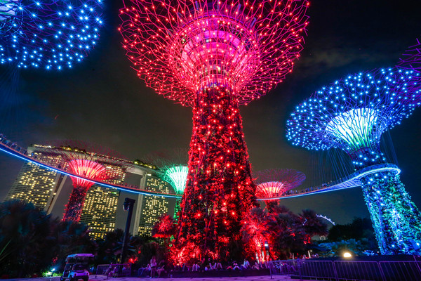 新加坡旅遊-濱海灣花園溫室：擎天樹、燈光秀夜景（圖／記者林世文攝）