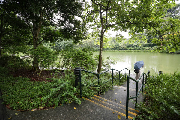 新加坡旅遊-新加坡植物園（圖／記者林世文攝）