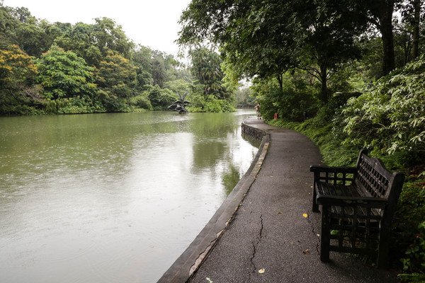 新加坡旅遊-新加坡植物園（圖／記者林世文攝）