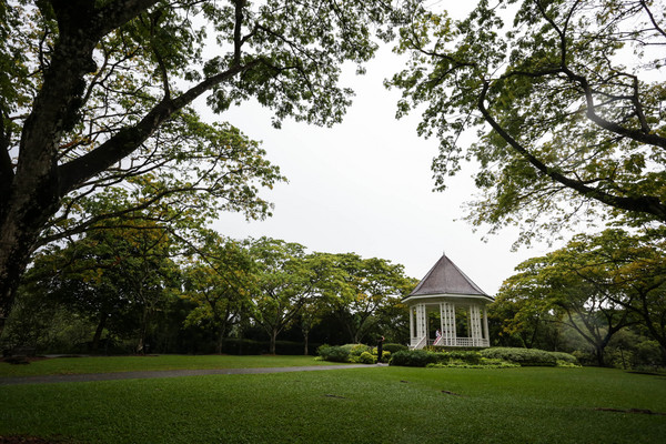 新加坡旅遊-新加坡植物園（圖／記者林世文攝）