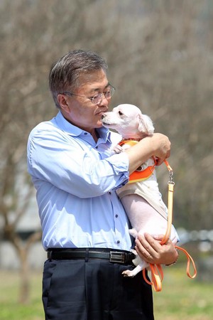 ▲南韓總統文在寅喜愛小動物，愛犬「馬魯」也與他一同入住青瓦台。（圖／翻攝自文在寅粉絲專頁）