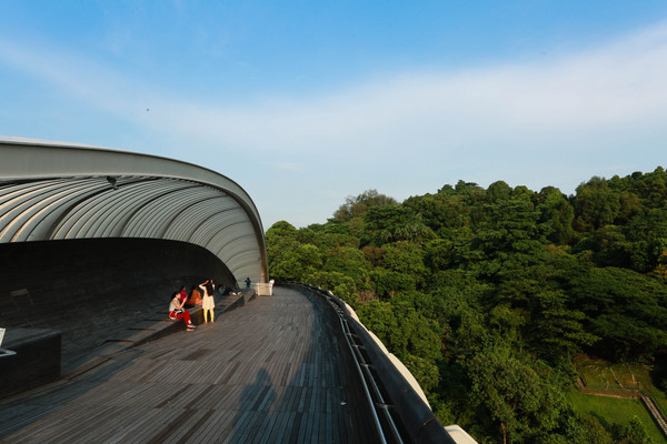 ▲新加坡旅遊-亨德森波浪橋（圖／林世文記者攝）