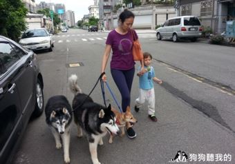 ▲奪回「老大」位置！　解決「強勢狗狗」的分離焦慮（圖／Annie老師提供）