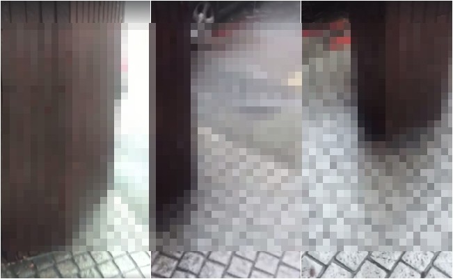 [問卦] 淹水時蟑螂跑去哪了？