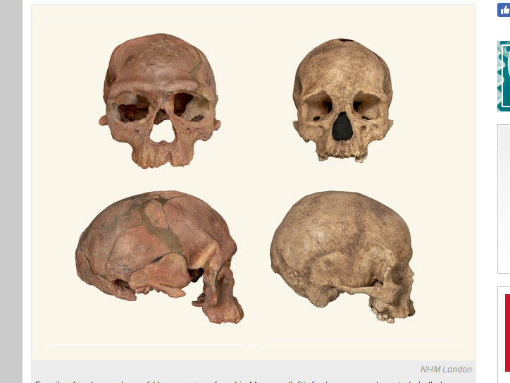 ▲▼ 人類起源再推進10萬年　他們30萬年前長已跟現代人相同。（圖／翻攝自nature自然雜誌網頁）