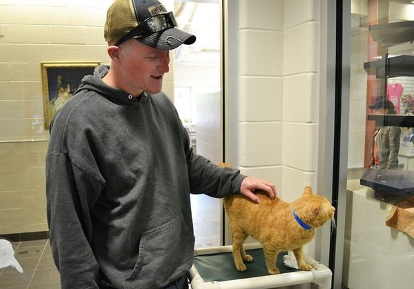 流浪生活太辛苦...超衰臉橘貓等到幸福 終於學會笑了(圖/翻攝自Lollypop Farm, the Humane Society of Greater Rochester)