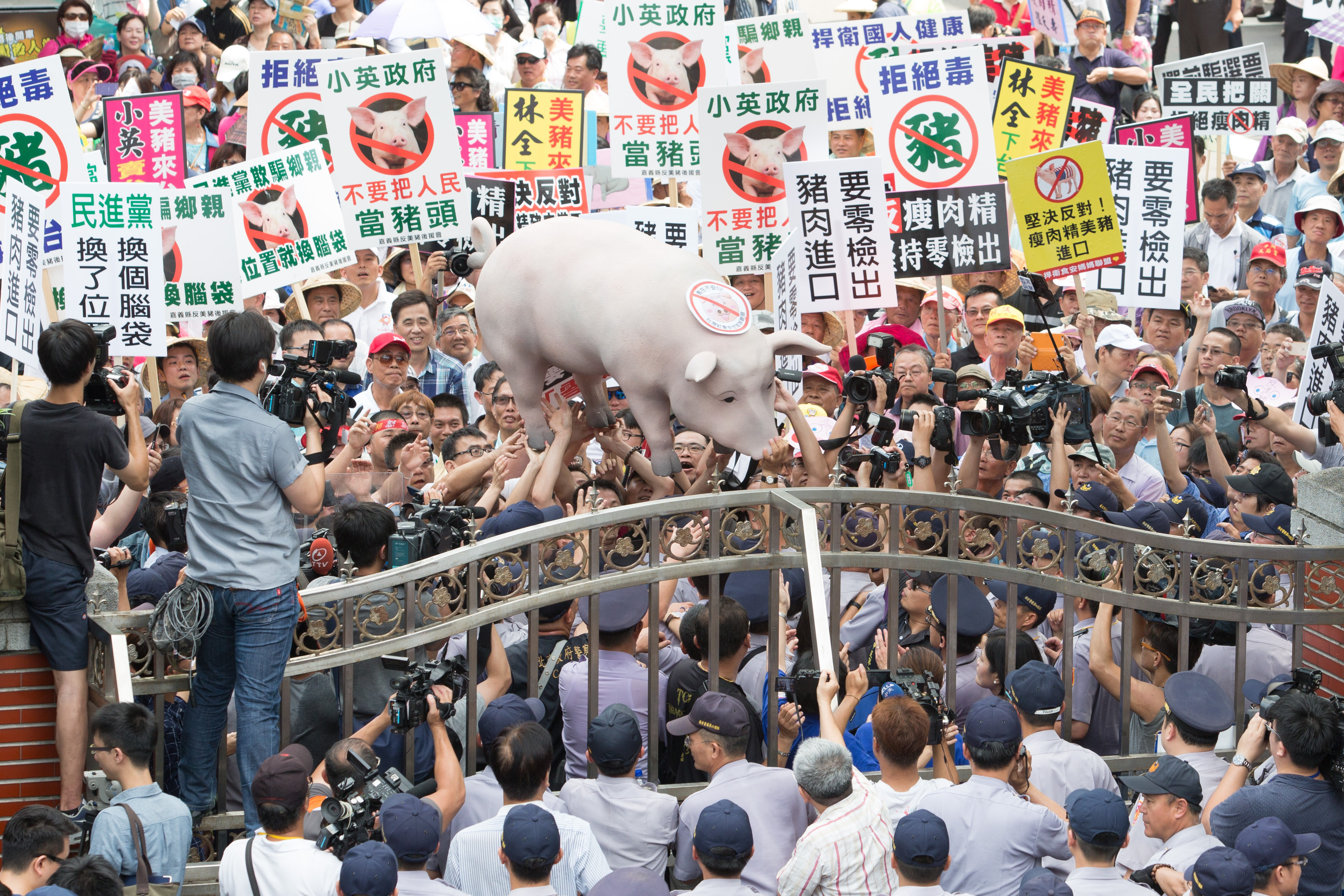 ▲養豬戶約千人到立法院陳抗。美豬抗議（圖／記者季相儒攝）