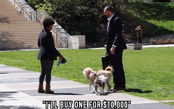 ▲願不願意用10萬美金賣狗。（圖／翻攝自Youtube／BigDawsTv）