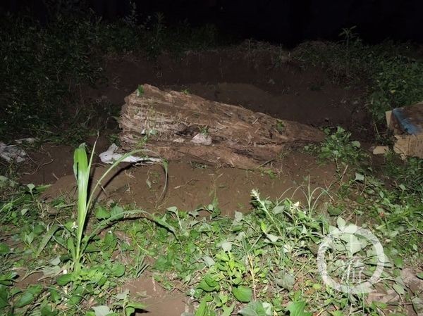 村民以為土堆中藏死人，沒想到竟然是價值連城的楠木。（圖／翻攝自上游新聞）