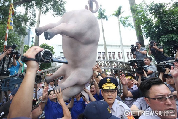 ▲國民黨發動豬農抗議美豬進口。（圖／記者黃克翔攝）