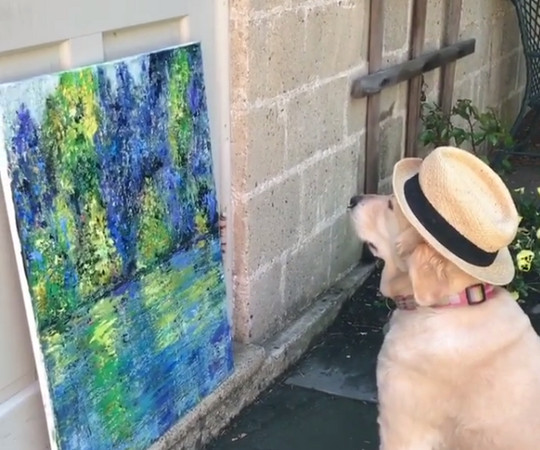 黃金獵犬艾拉專心賞油畫。（圖／翻攝自Instagram@juliaspowell10）