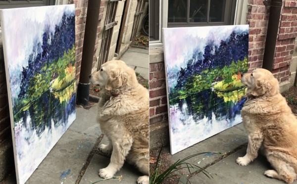 黃金獵犬艾拉專心賞油畫。（圖／翻攝自Instagram@juliaspowell10）