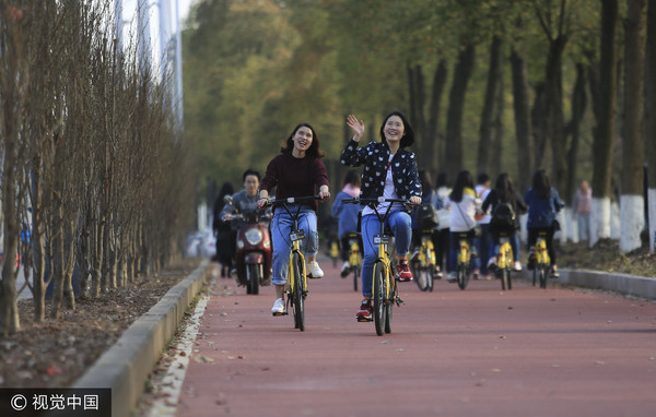 ▲▼重慶大學城的紅色專用自行車道。（圖／CFP）