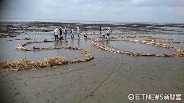 ▲桃園環團持續搶救，希望大潭藻礁不要說再見（圖／記者楊熾興攝）