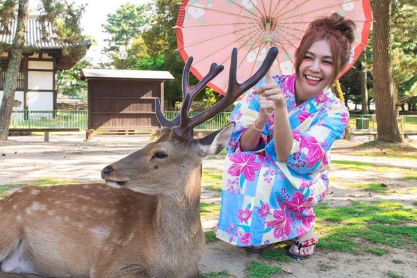 ▲安苡愛到奈良旅遊體驗餵鹿。（圖／安苡愛提供）