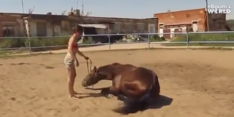 辣妹開腿蹬馬連三敗，最後連馬都看不下去…跪給她騎（圖／翻攝自網路）