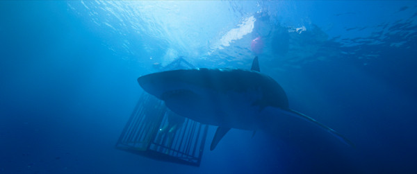 深海鯊機app贈票活動