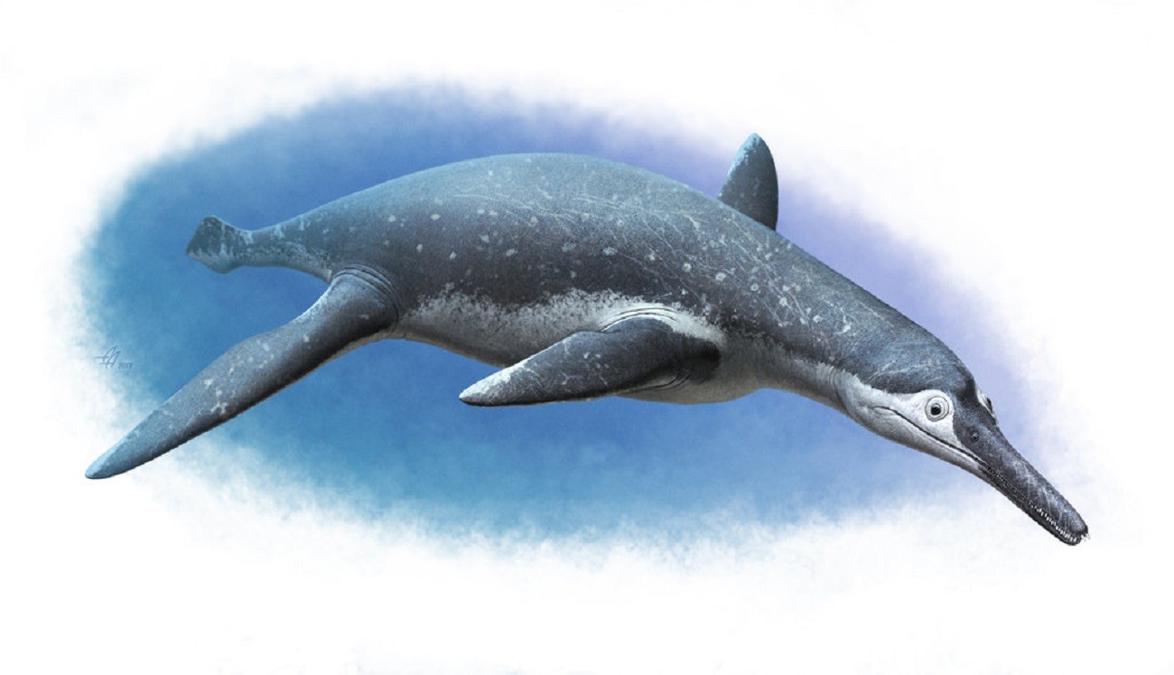 ▲▼2.2億年前的兇猛魚龍，外表似「海豚+鱷魚」。（圖／翻攝自Andrey Atuchin　DeviantArt）