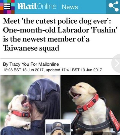 每日郵報大篇幅報導新北警犬隊6隻小萌犬。（圖／翻攝自每日郵報）