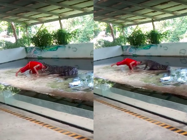 ▲泰國馴獸員把頭放入鱷魚嘴巴中（圖／翻攝自YouTube）
