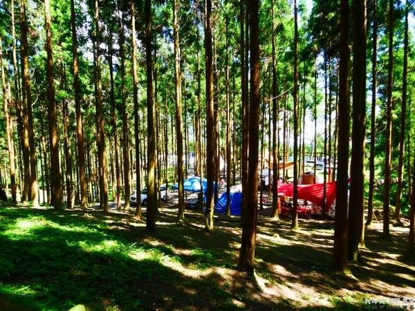 戈巴侖森林露營地。（圖／何師父提供）