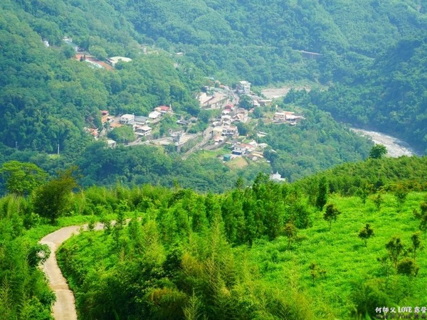 戈巴侖森林露營地。（圖／何師父提供）