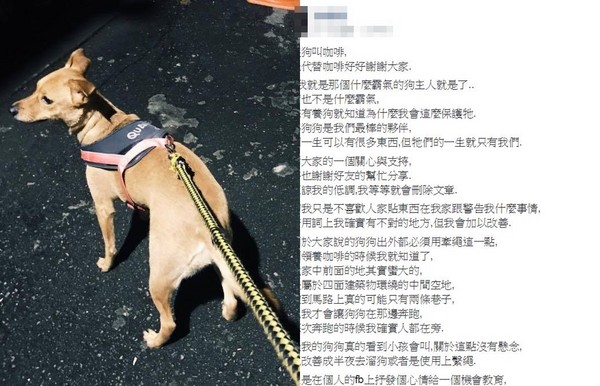 ▲怕狗傷小孩再嗆「認識很多議員」　飼主回應又讓網友高潮（爆廢公社）