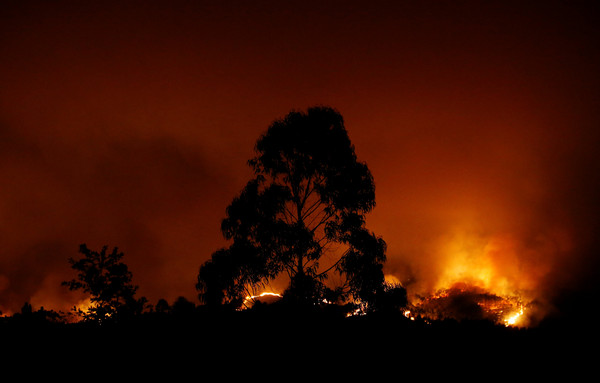 葡萄牙森林大火。（圖／路透社）