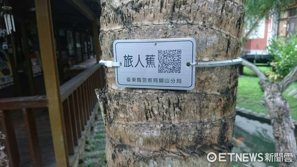 台東關山警察分局為週遭13種樹種，貼心製作「QR碼樹牌」，讓遊客透過手機掃瞄QR碼，就能輕鬆認識。（圖／台東縣警察局提供）