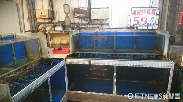 ▲部份業者採取延後進貨暫時不販售吳郭魚，因此池內空無一魚。（圖／記者楊熾興攝）