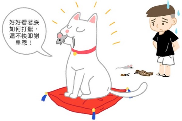 貓咪帶來小禮物?難道真的是「貓的報恩」?!(圖/毛起來 MaoUp)