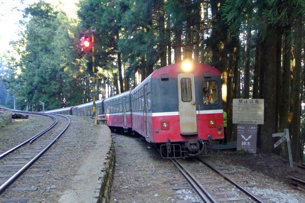 ▲阿里山森鐵營運路段將延長至十字路站。（圖／台鐵提供）