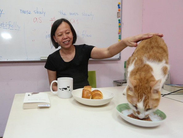午餐只有麵包和咖啡的謝凱特餵貓吃的是鮮肉。
