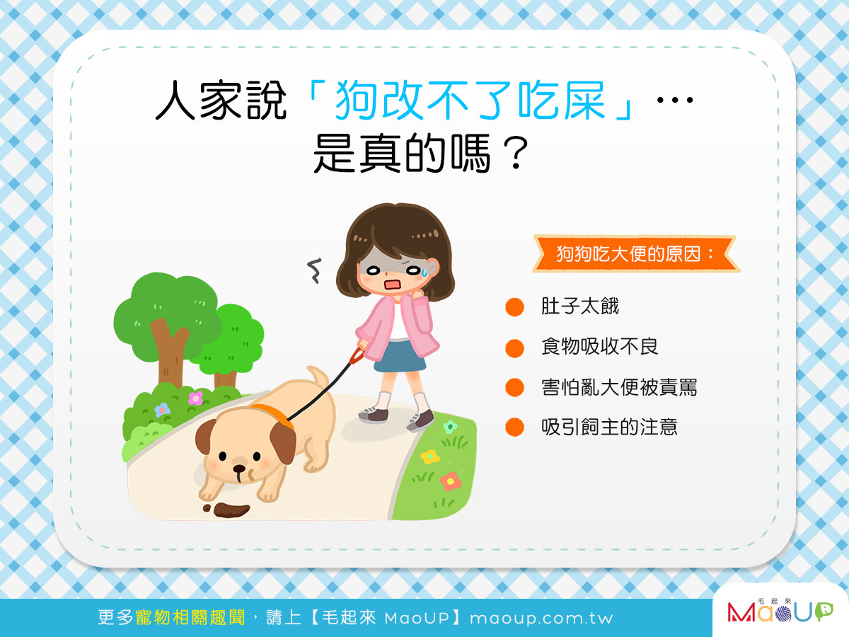 狗改不了吃屎？ 汪星人吃大便「4背後原因」...怕被你罵| ETtoday健康雲| ETtoday新聞雲