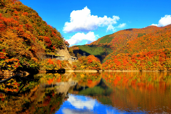 庄川峽紅葉。（圖／翔笙旅遊）