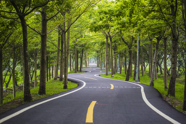 另类「骑迹」!台中绝美单车道有超美拍s弯道,波浪道