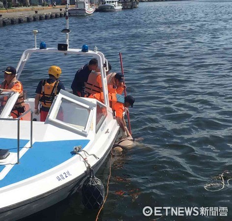 ▲南部地區巡防局第11岸巡總隊安平漁港安檢所，出動海巡艇趕往通報地點，立即發現一浮屍在水中載浮載沉，將屍體打撈上岸。（圖／記者林悅翻攝）