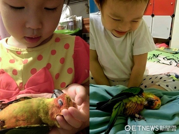 鸚鵡Goldy和小姊姊。（圖／網友Erica Liu提供，請勿隨意翻拍，以免侵權。）