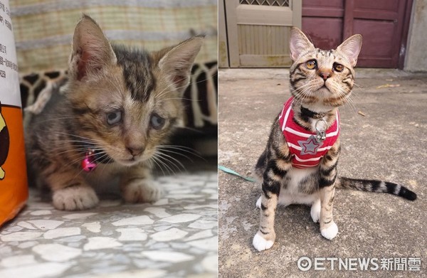 ▲▼ 臉書回顧「2年前的今天」 媽欣慰:好慶幸當初沒放棄(圖/網友沈小姐授權提供)