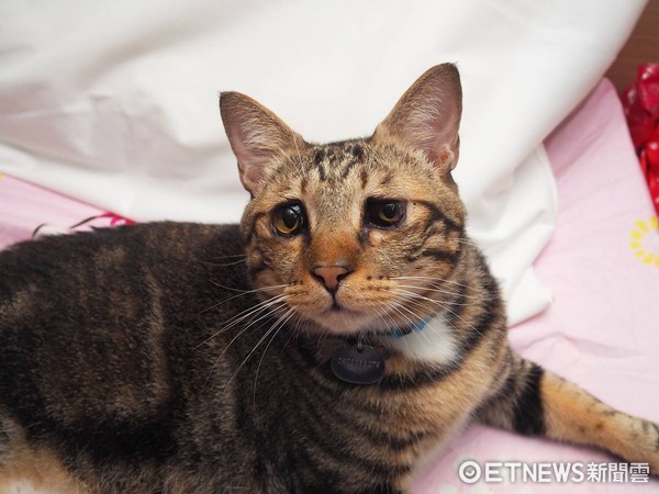 ▲▼ 臉書回顧「2年前的今天」 媽欣慰:好慶幸當初沒放棄(圖/網友沈小姐授權提供)