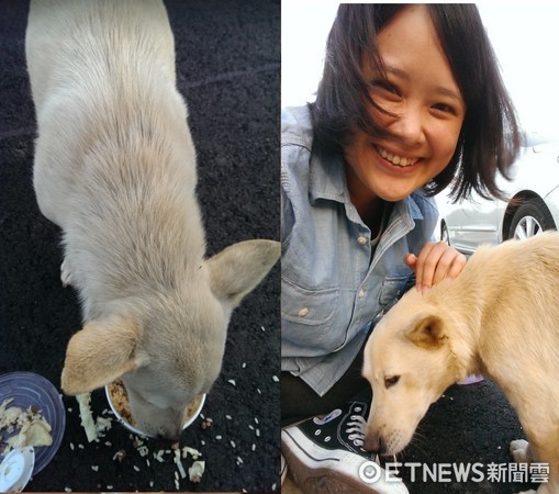 ▲米克斯小米背肉太多擠成「洗衣板」。（圖／飼主Joy Tsai提供，請勿隨意翻拍，以免侵權。）