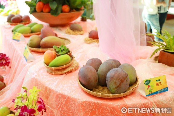 ▲台南各品種芒果均受大眾喜愛。（圖／市府提供）