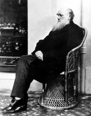 ▲▼英國生物學家達爾文(Charles Darwin),他所提出的「演化論」被喻為「19世紀三大發現之一」。(圖/達志影像/美聯社)
