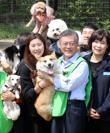 文在寅在選戰期間訴求打造友善動物環境。圖為2017年4月15日，韓國首爾，文在寅現身麻浦區就關愛棄養動物與市民展開討論。（東方IC）