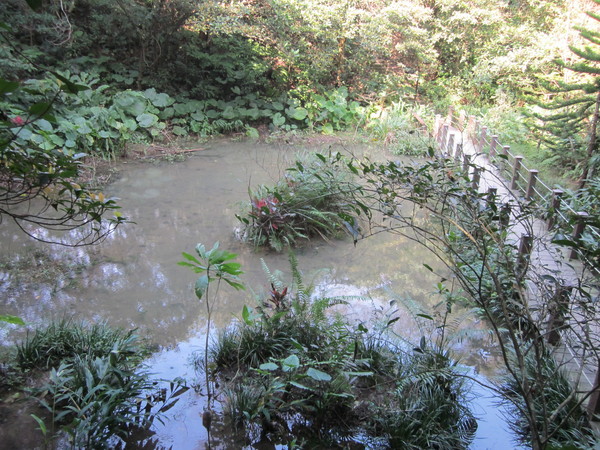 ▲獨具滄桑美感 富陽公園中選拍歷史紀錄劇(圖/台北市政府提供)
